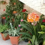 Vrancic 4* Ровинь