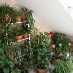 Гостевой дом Vrancic Ровинь