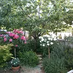 Гостевой дом Vrancic