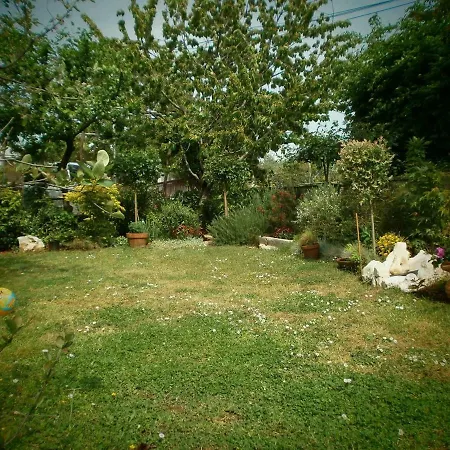 Vrancic 3*