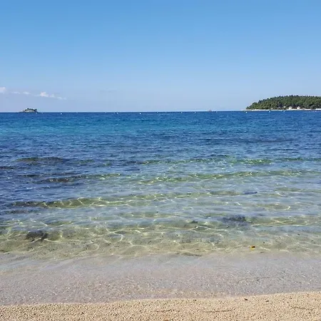 Vrancic