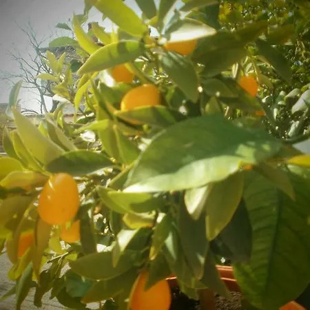 Vrancic Pensjonat 4*