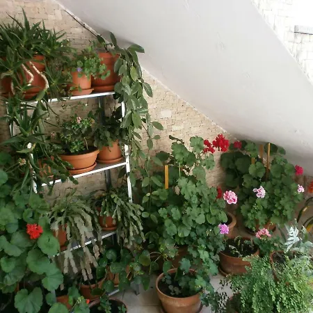 Guest house Vrancic Rovinj