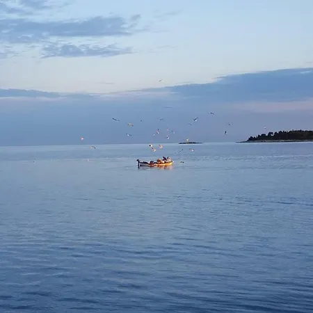 Guest house Vrancic 4*