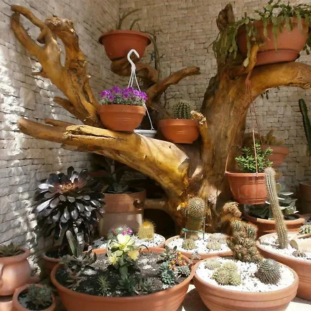 Vrancic Guest house Rovinj