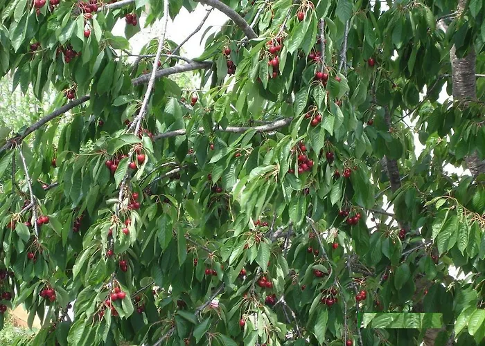 Vrancic Gostinjska kuća