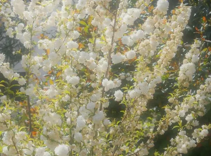 Vrancic Gostinjska kuća