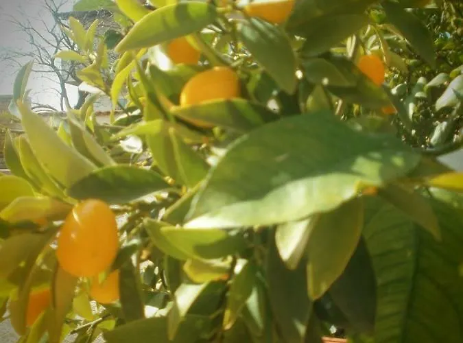 Vrancic Gostinjska kuća 4*