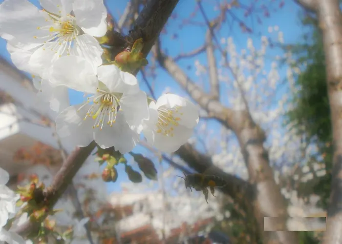 Vrancic Gostinjska kuća 4*