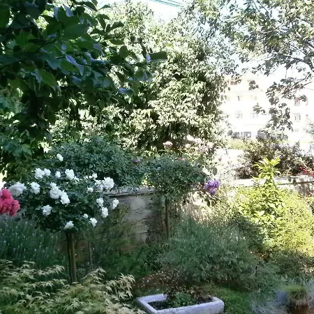 Vrancic רוביני