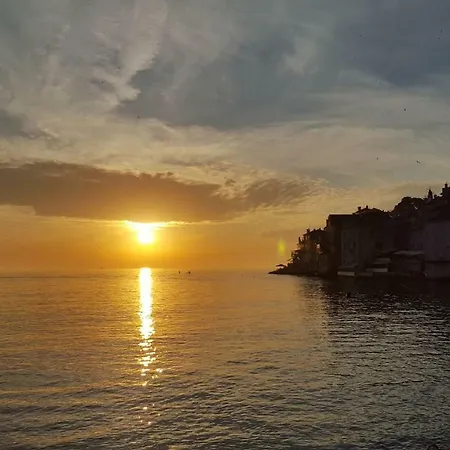 בית הארחה Vrancic רוביני